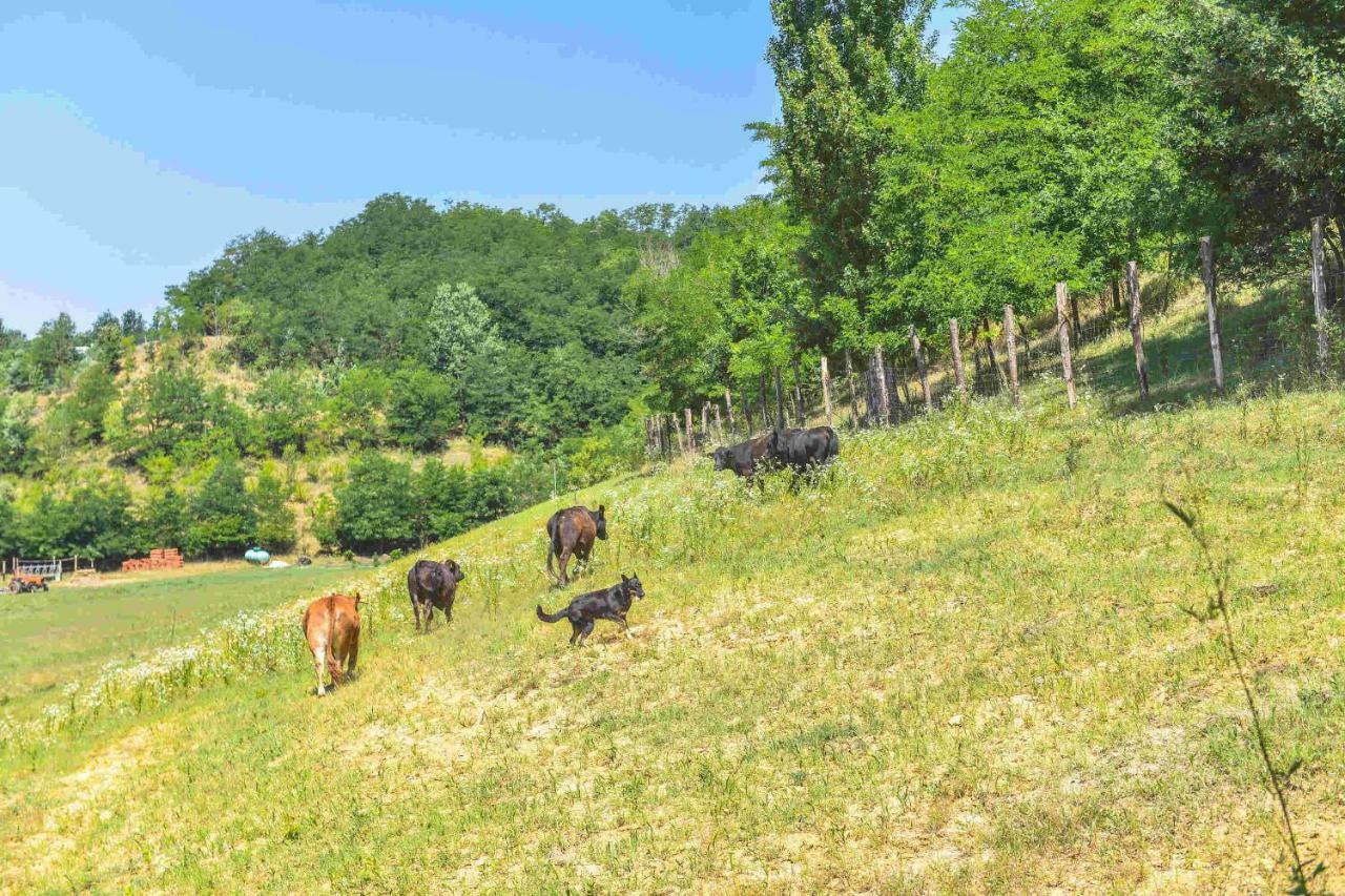 Cascina Lissona Villa อัสตี ภายนอก รูปภาพ